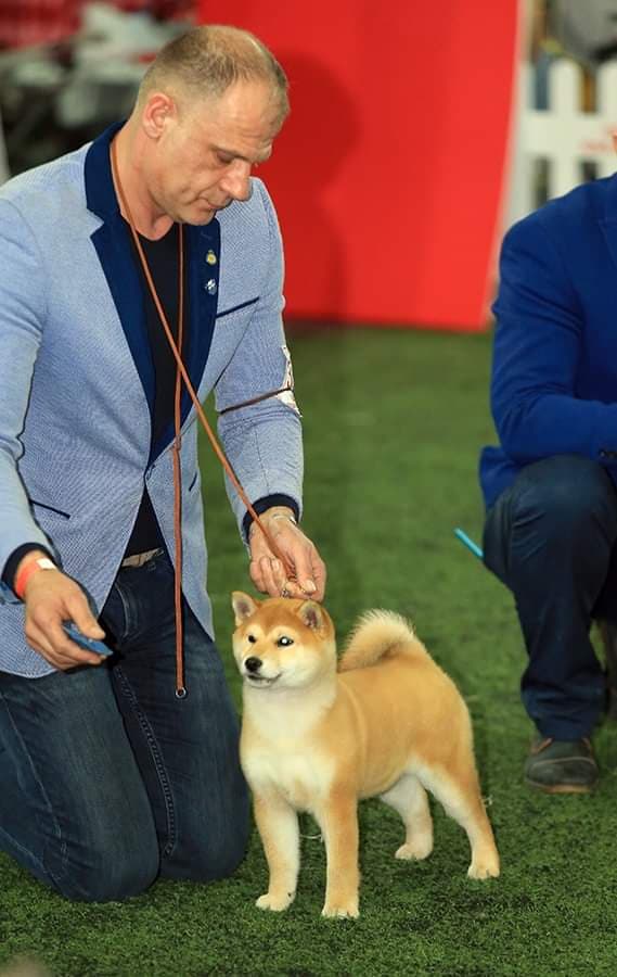 90454846_980932682300671_5155741431461052416_n (1)