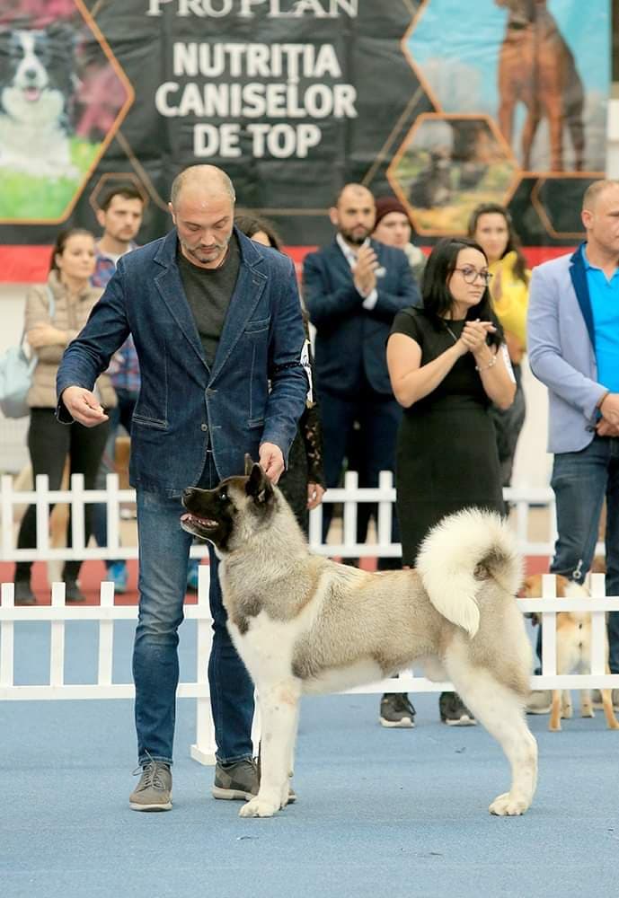 90455992_223637435687633_332699312188293120_n