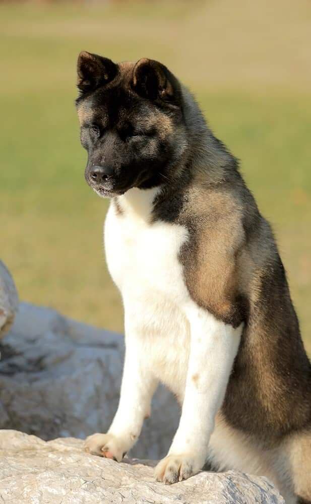 90456541_294027268236408_4311566953757016064_n (1)