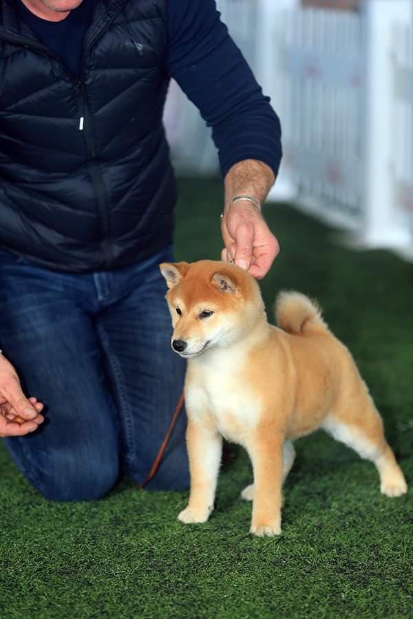 90468693_623506708226688_7954317777660018688_n (1)