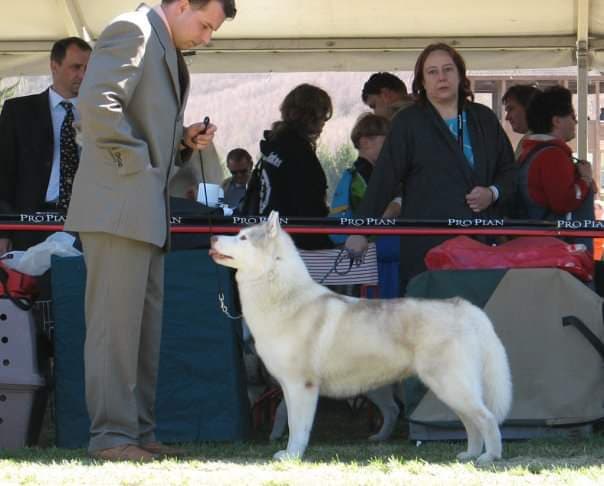 90481201_255021588844040_5797701697748860928_n (1)