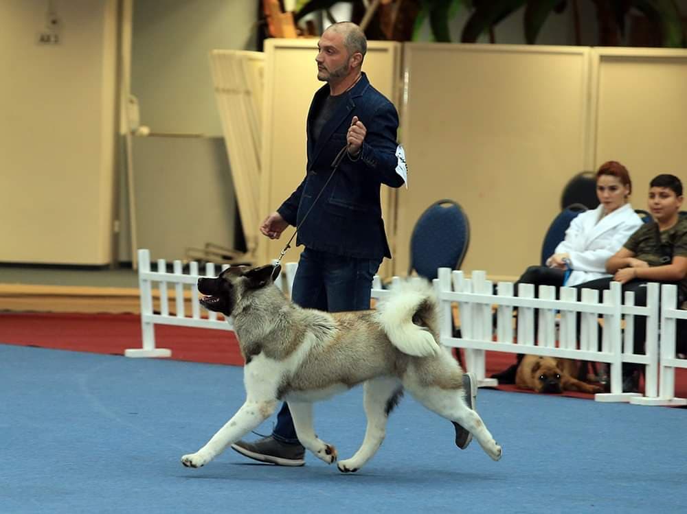 90509894_2974817465929202_4186922544651042816_n