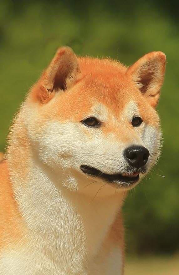 90510578_503972067180649_5068781396122664960_n (1)