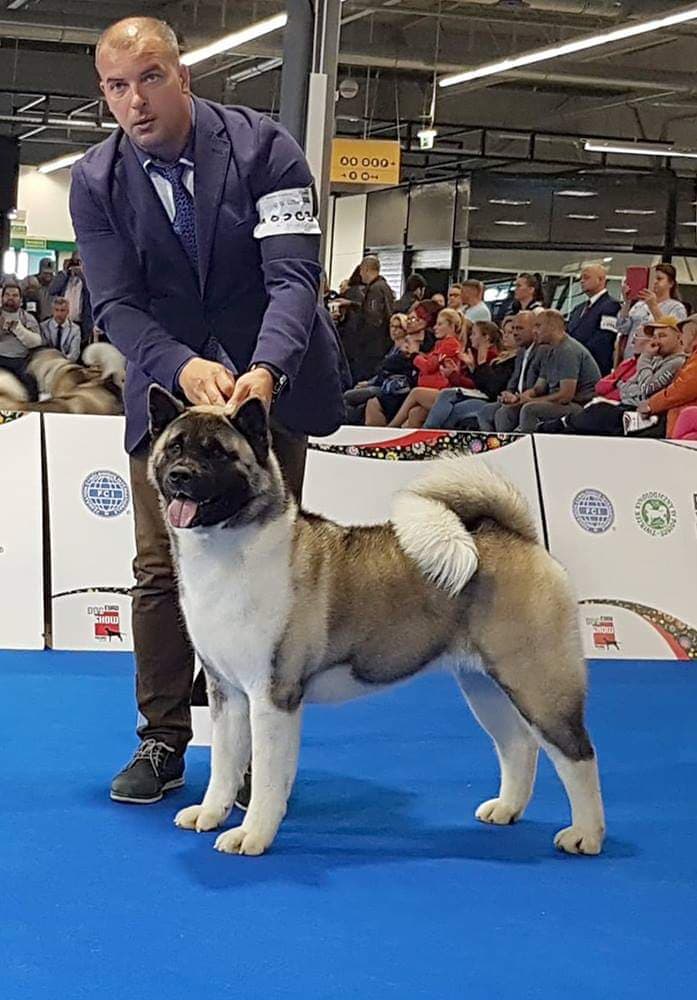 90517801_795764507585207_8733586211370696704_n (1)