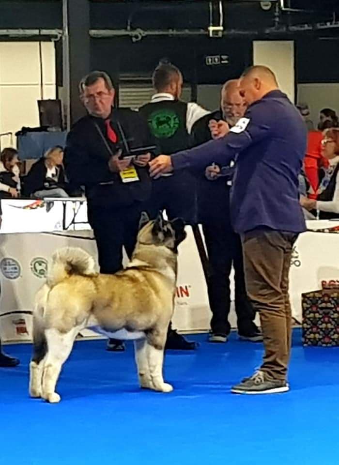 90519986_1074672652898513_1874208528361586688_n (1)