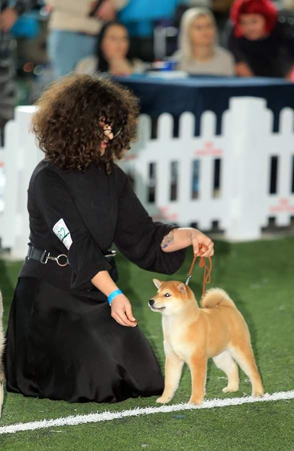 90523409_2315464125421562_415222599065272320_n (1)