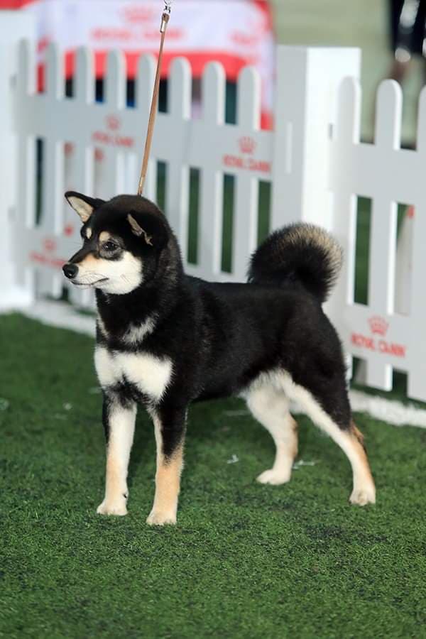 90527624_252352425790074_3194510423231561728_n (1)