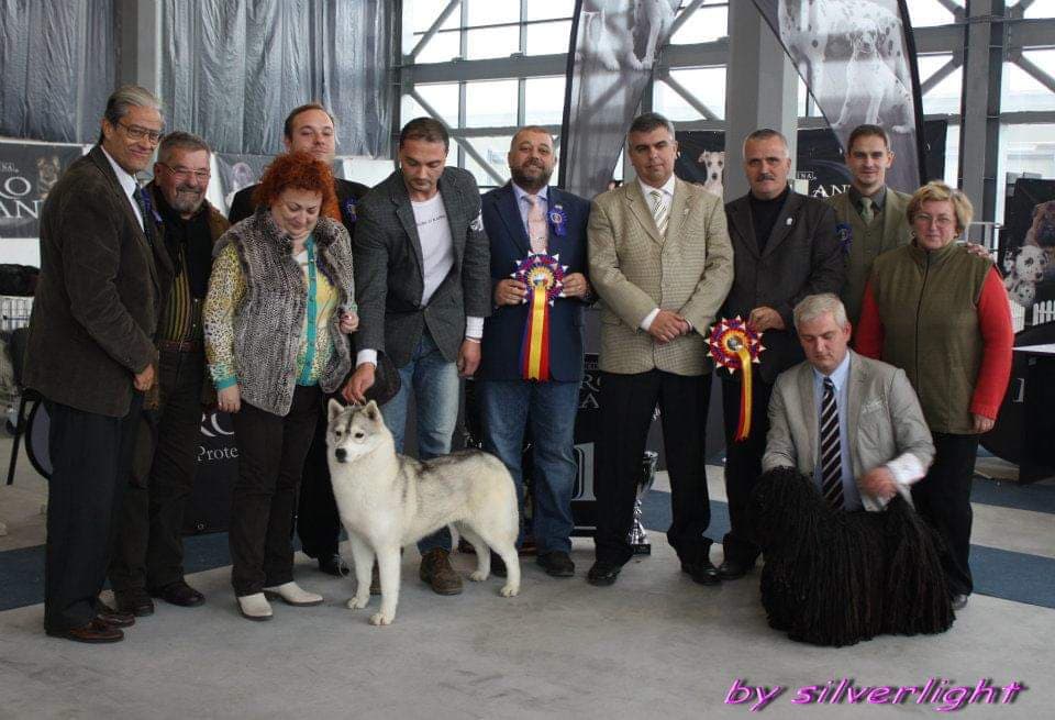 90528401_2274539112849367_3586460832197771264_n (1)