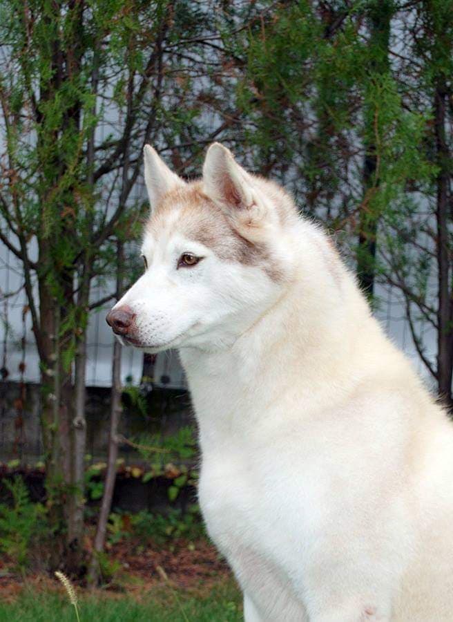 90529144_918654481920829_4211528931980869632_n (1)