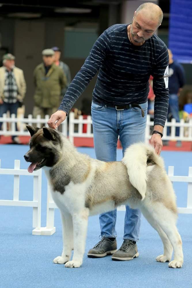 90534894_2280977965539317_5504271031029727232_n