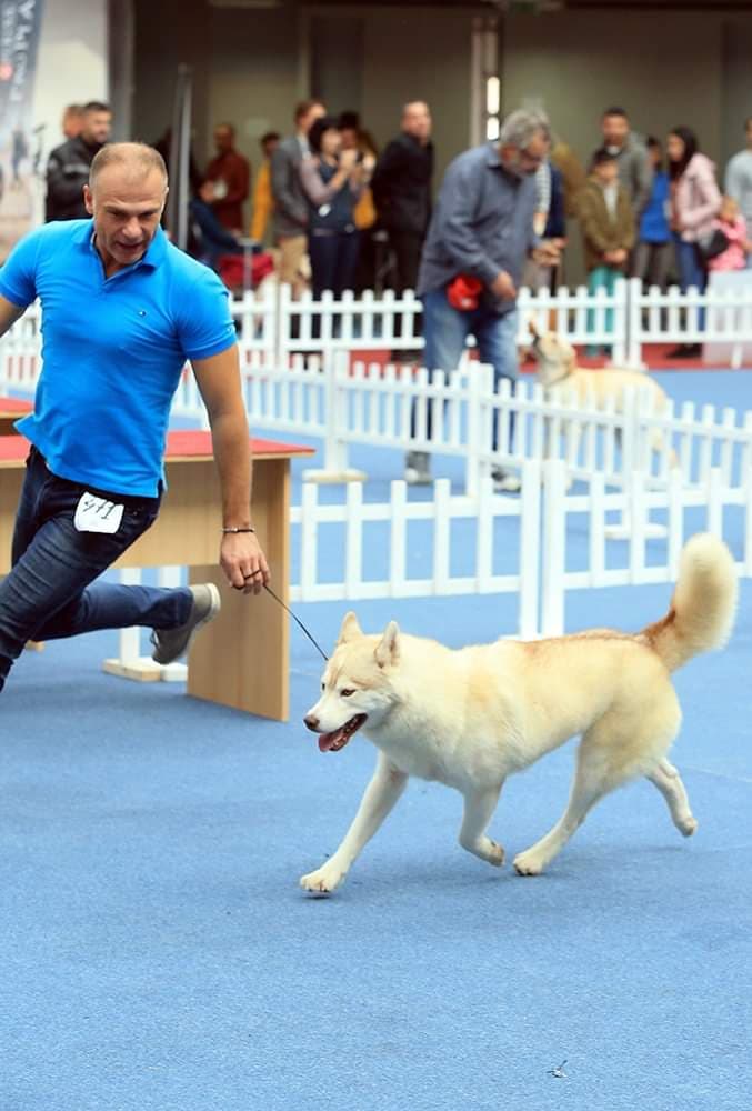 90541291_205044397433670_6241746843085045760_n (1)