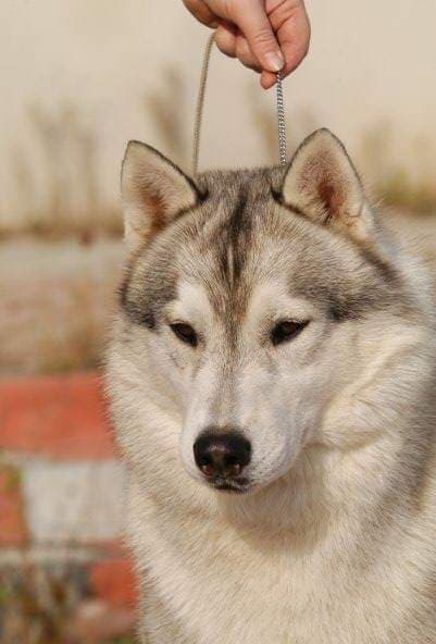 90546804_2882200755227724_9201942048423280640_n (1)