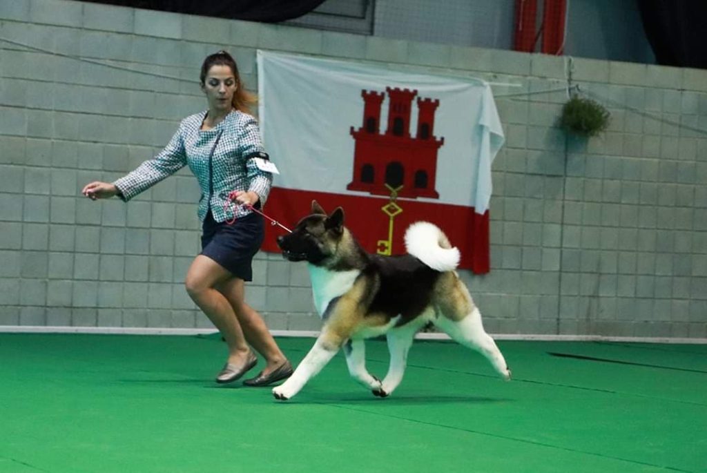 90557094_271399160518790_5707808083783188480_n (1)