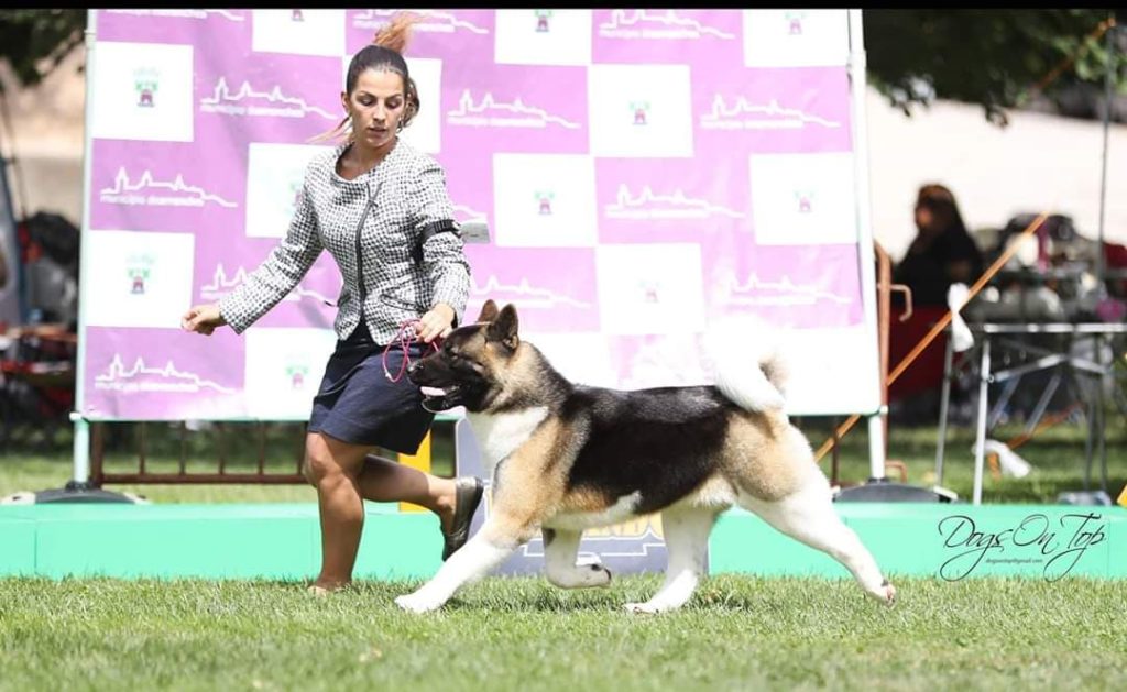 90560346_202655291010480_4395260529027842048_n (1)