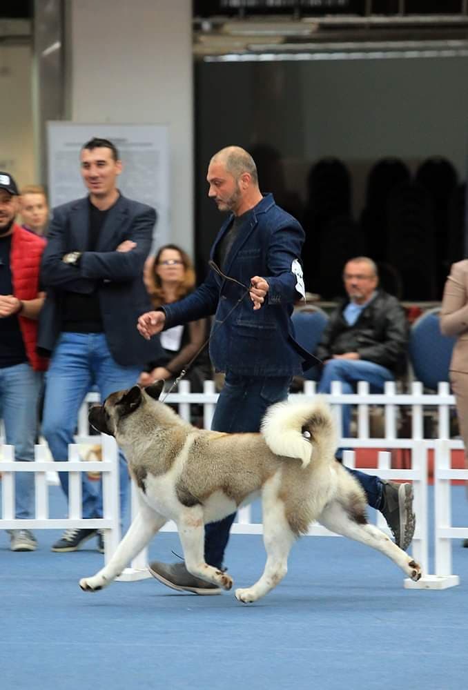 90624898_547522769201568_1204873218565865472_n