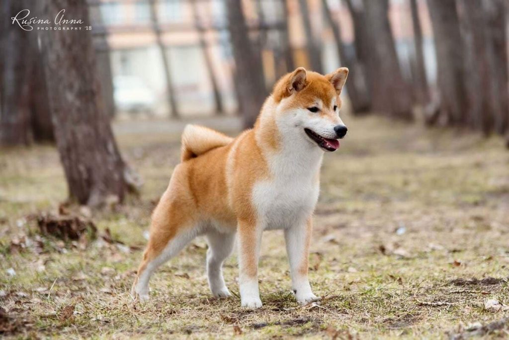 90650443_647715859386749_6924931253451882496_n (1)