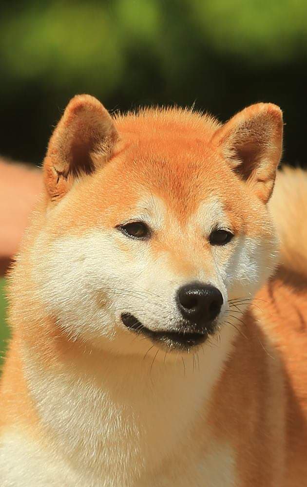 90704752_211553126593962_8191433103776940032_n (1)