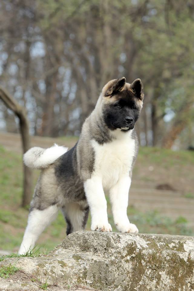 970669_10203561516464564_1131881785_n (1)