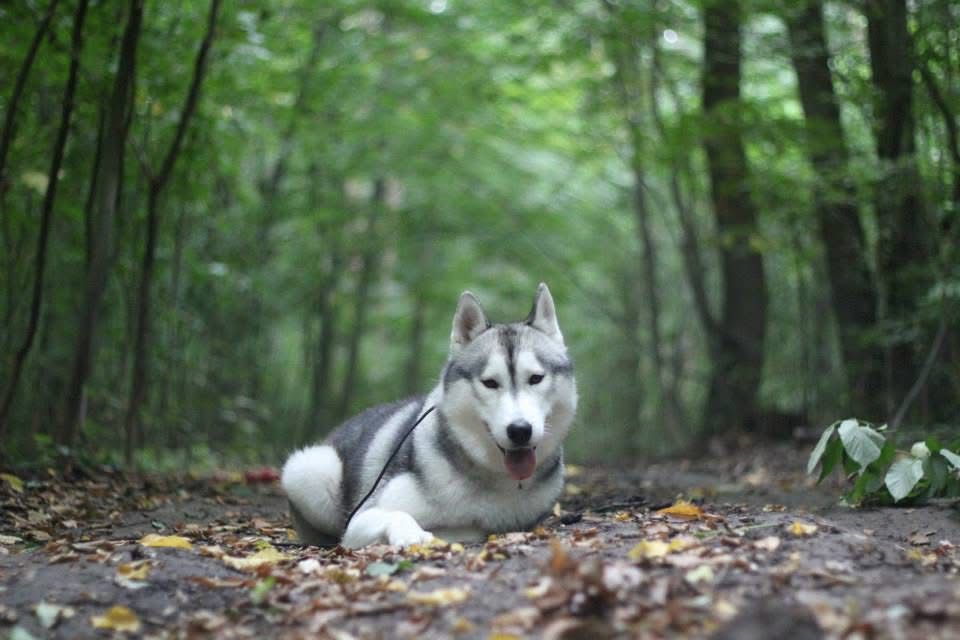 WhatsApp Image 2025-11-22 at 23.06.08