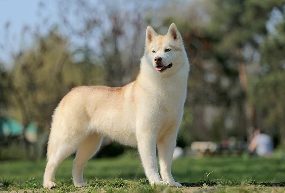 WhatsApp Image 2025-11-22 at 23.37.23 (1)