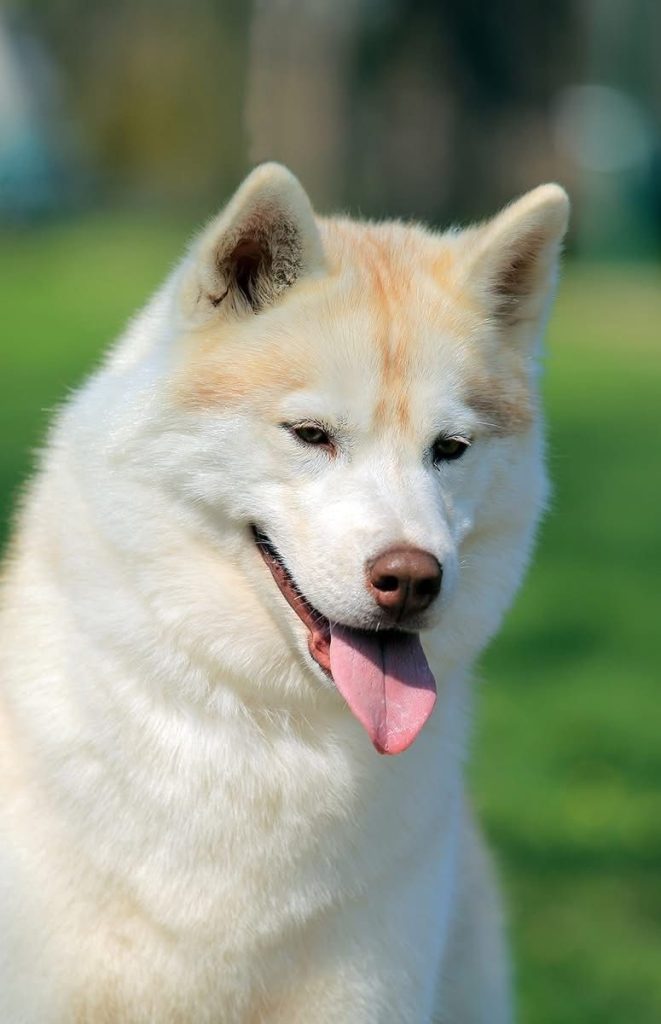 WhatsApp Image 2025-11-22 at 23.37.23 (2)