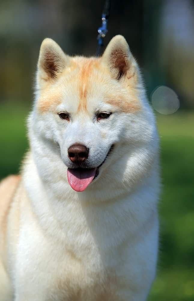 WhatsApp Image 2025-11-22 at 23.37.23 (3)