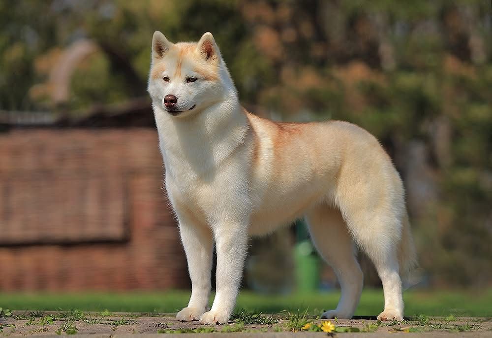 WhatsApp Image 2025-11-22 at 23.37.23 (4)