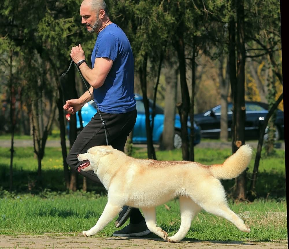 WhatsApp Image 2025-11-22 at 23.37.23