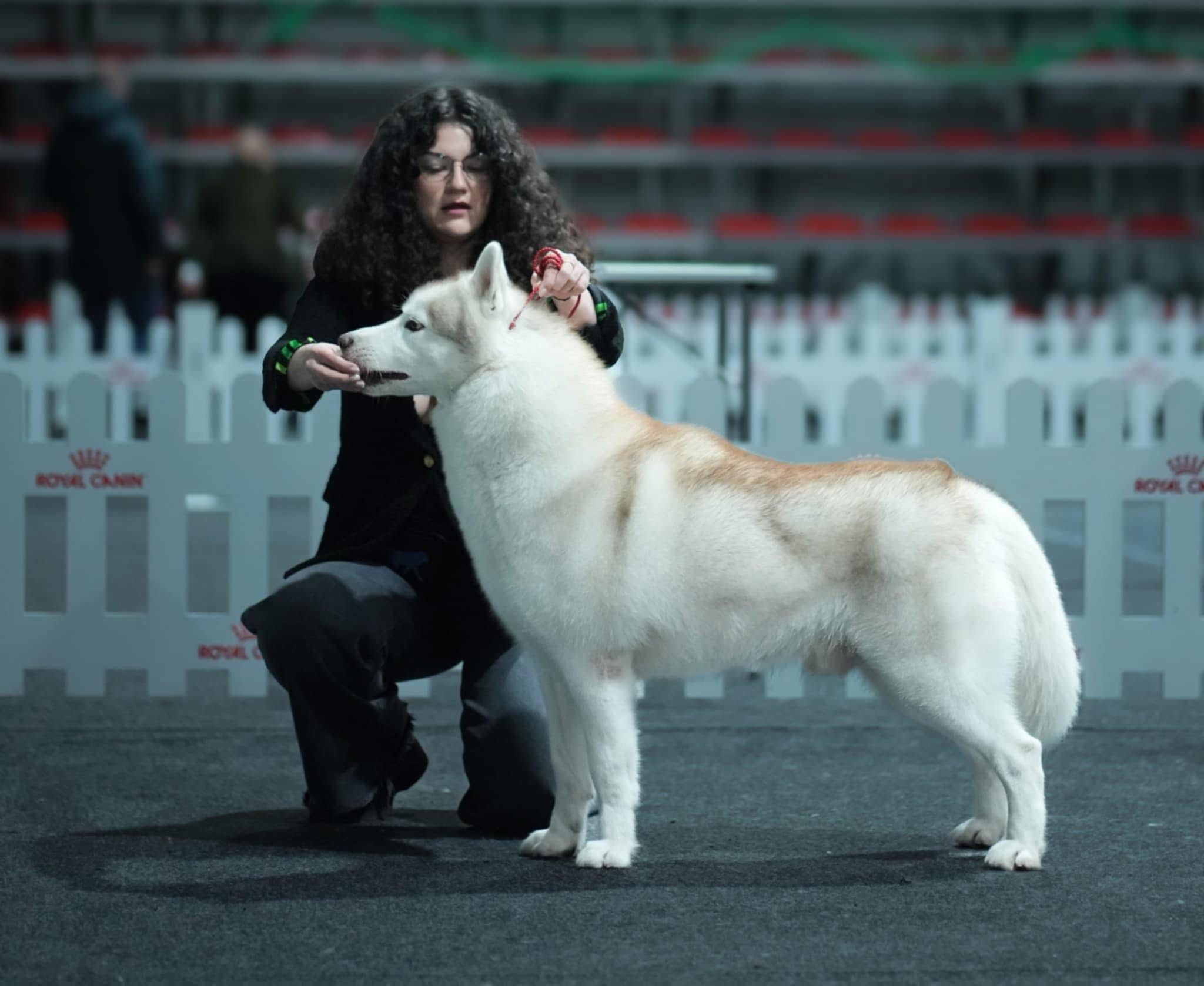 WhatsApp Image 2025-11-27 at 11.52.17 (2)