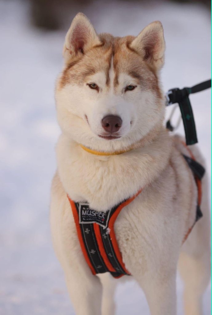 WhatsApp Image 2025-11-27 at 11.52.17