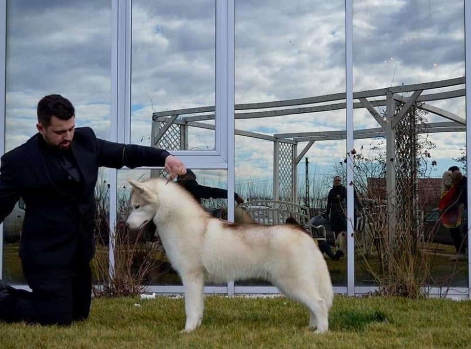 WhatsApp Image 2025-11-27 at 12.03.26