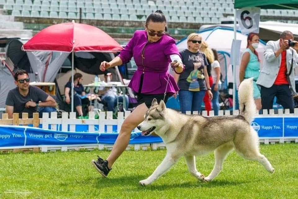 WhatsApp Image 2025-11-27 at 12.07.00 (2)