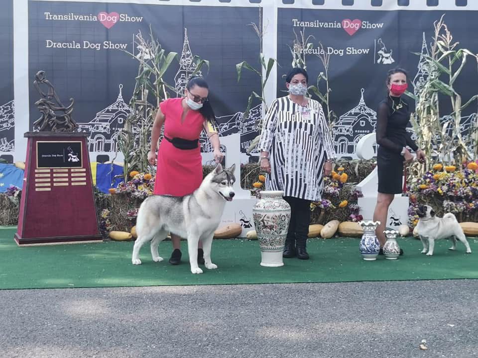 WhatsApp Image 2025-11-27 at 12.07.00 (3)