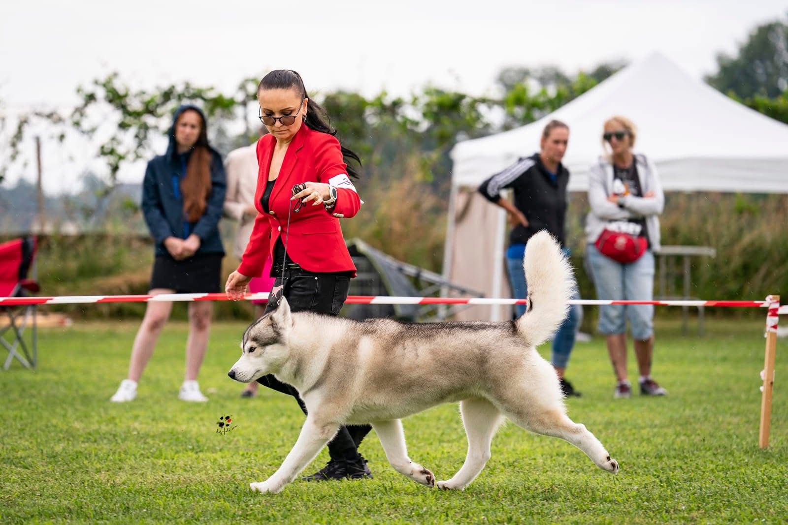 WhatsApp Image 2025-11-27 at 12.07.00 (4)