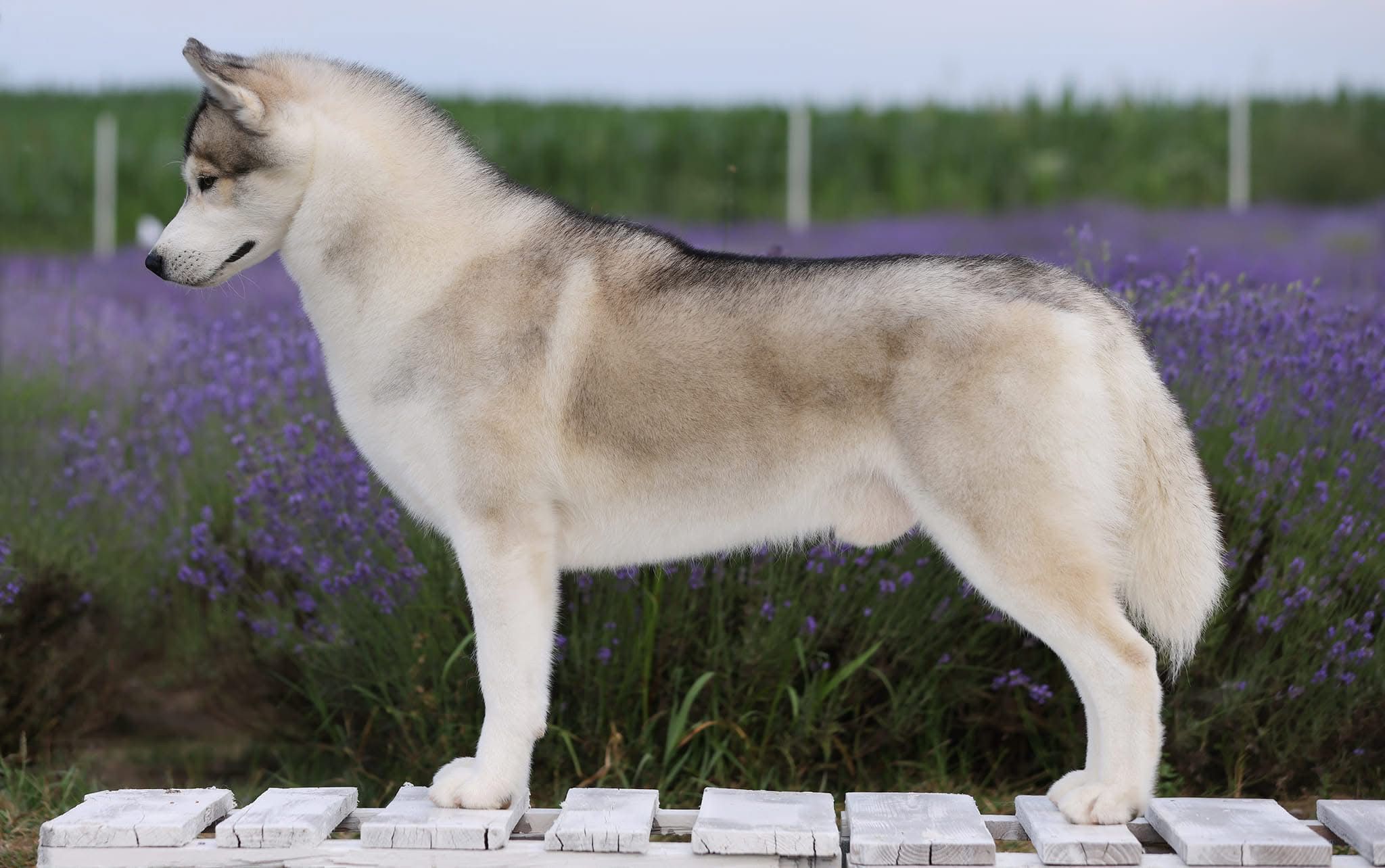 WhatsApp Image 2025-11-27 at 12.07.00 (5)