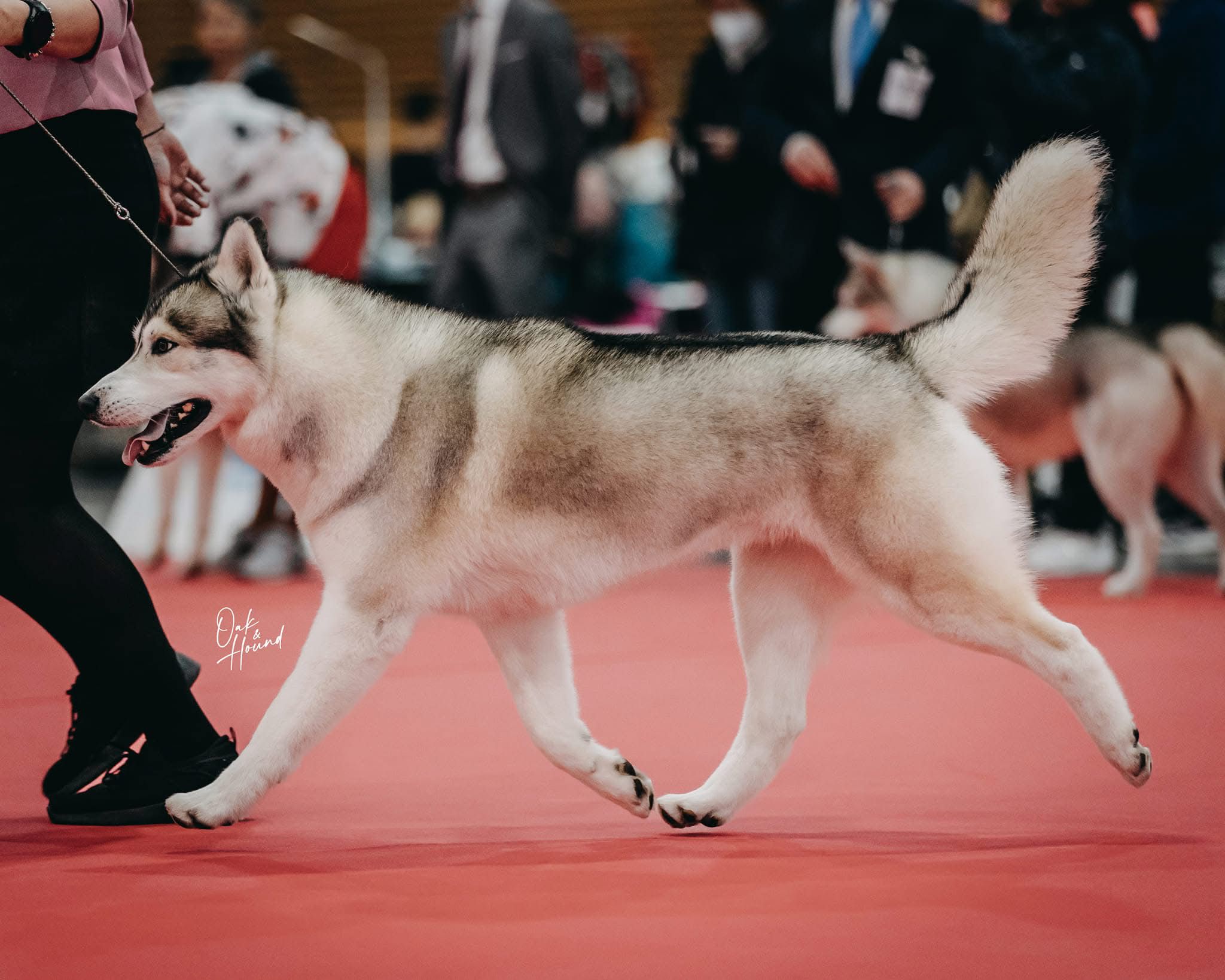 WhatsApp Image 2025-11-27 at 12.07.00