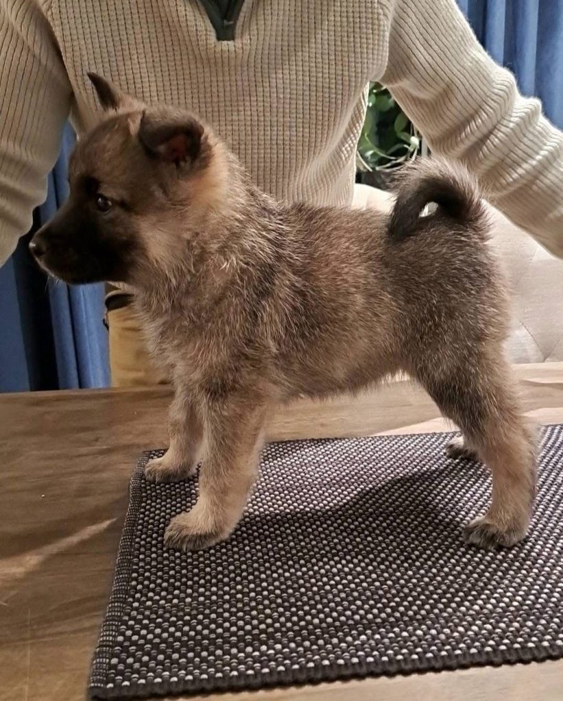 WhatsApp Image 2025-11-28 at 12.55.31 (1)