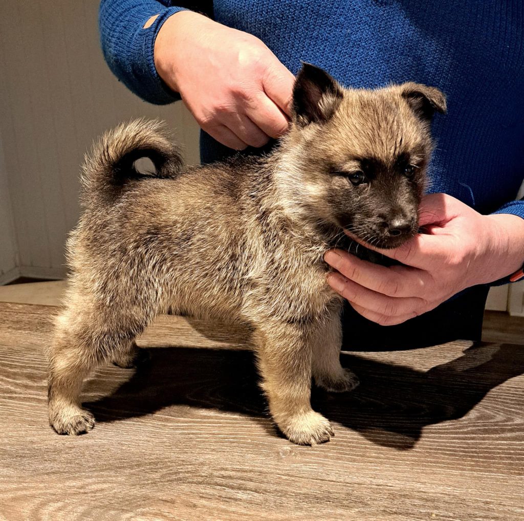 WhatsApp Image 2025-11-28 at 12.55.31 (2)