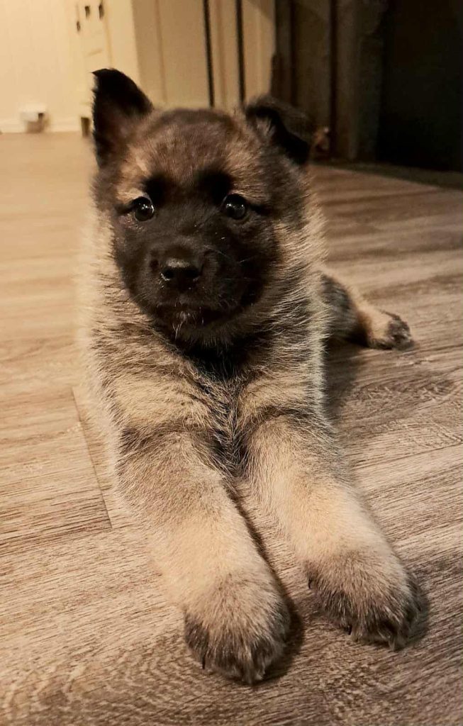 WhatsApp Image 2025-11-28 at 12.55.31