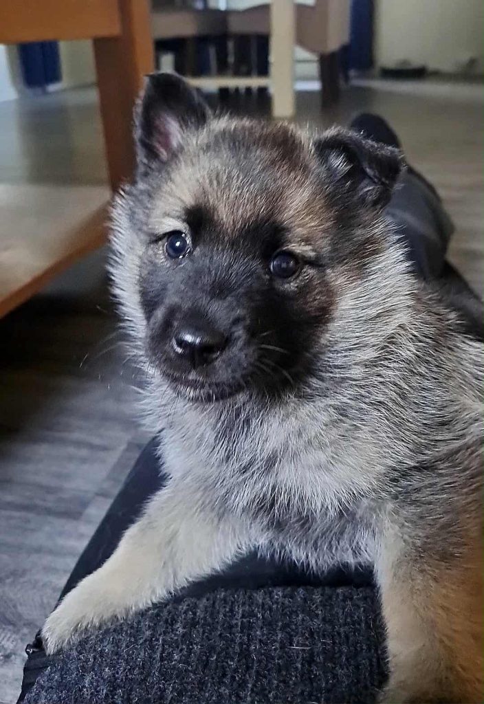 WhatsApp Image 2025-11-28 at 12.55.32