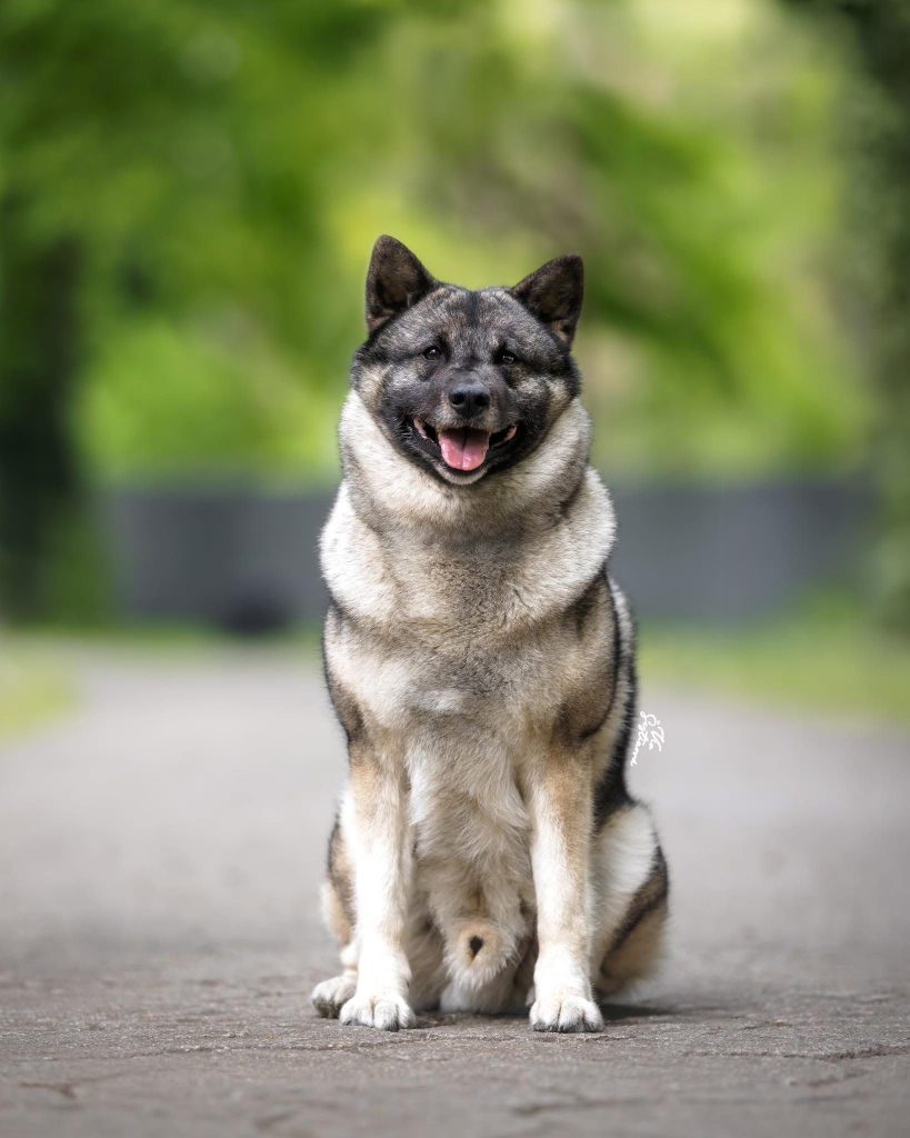 WhatsApp Image 2025-11-28 at 13.01.34 (1)