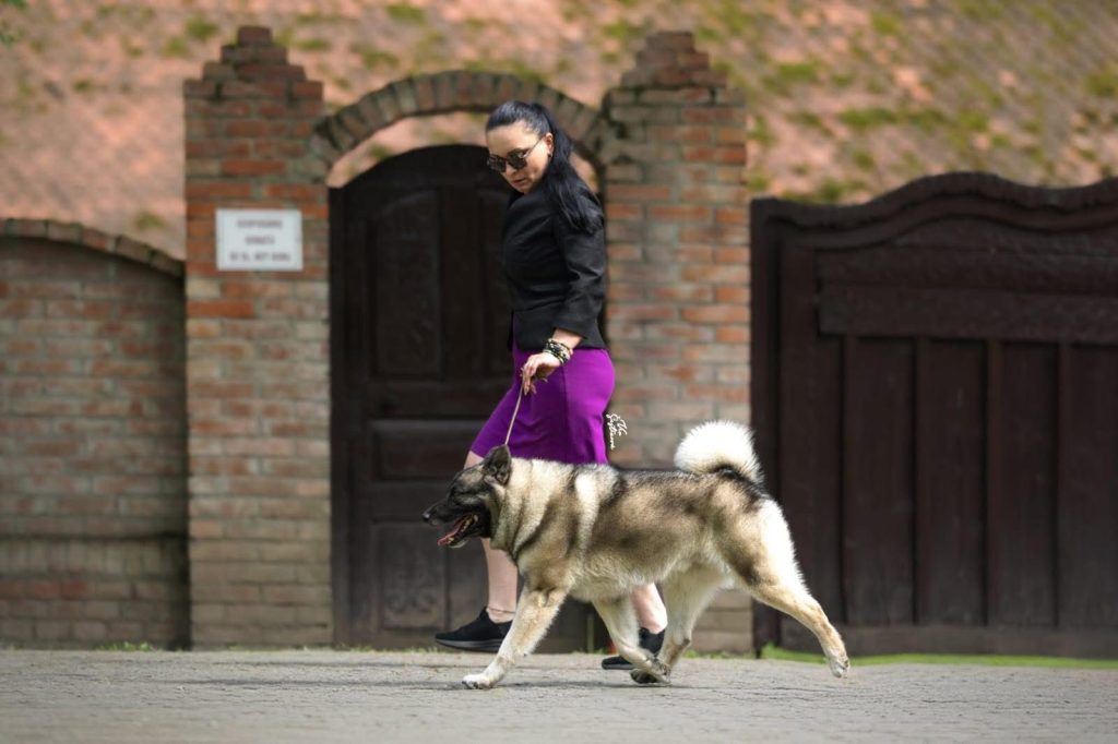 WhatsApp Image 2025-11-28 at 13.01.34 (2)