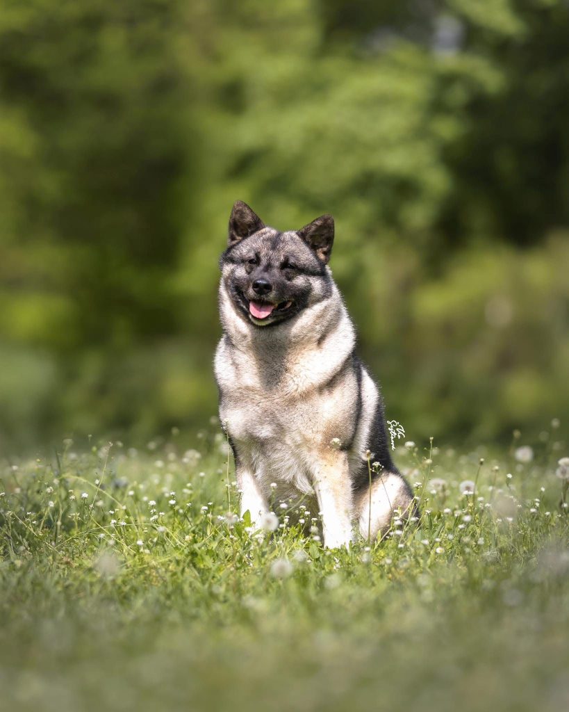 WhatsApp Image 2025-11-28 at 13.01.34 (3)