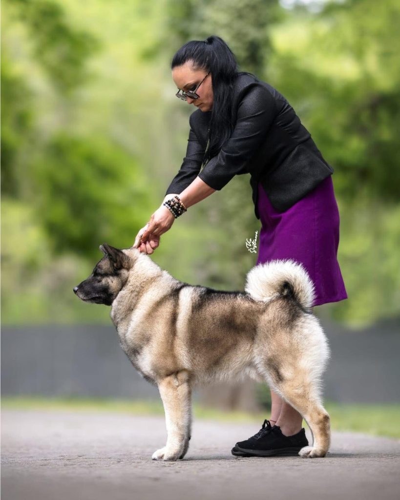 WhatsApp Image 2025-11-28 at 13.01.34