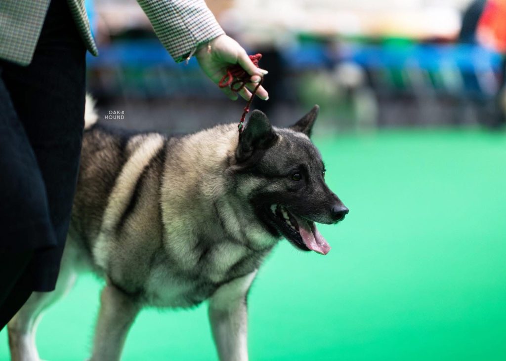 WhatsApp Image 2025-11-28 at 13.01.35 (1)