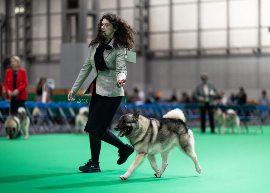 WhatsApp Image 2025-11-28 at 13.01.35