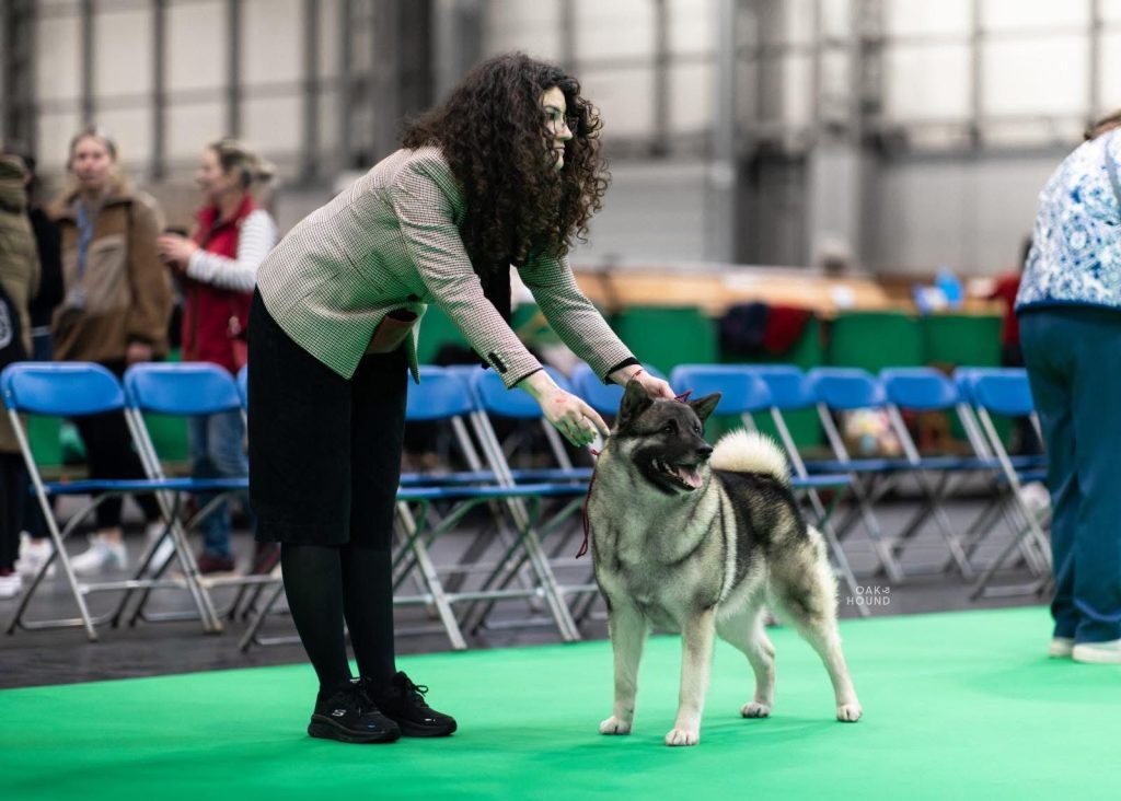 WhatsApp Image 2025-11-28 at 13.01.35 (2)