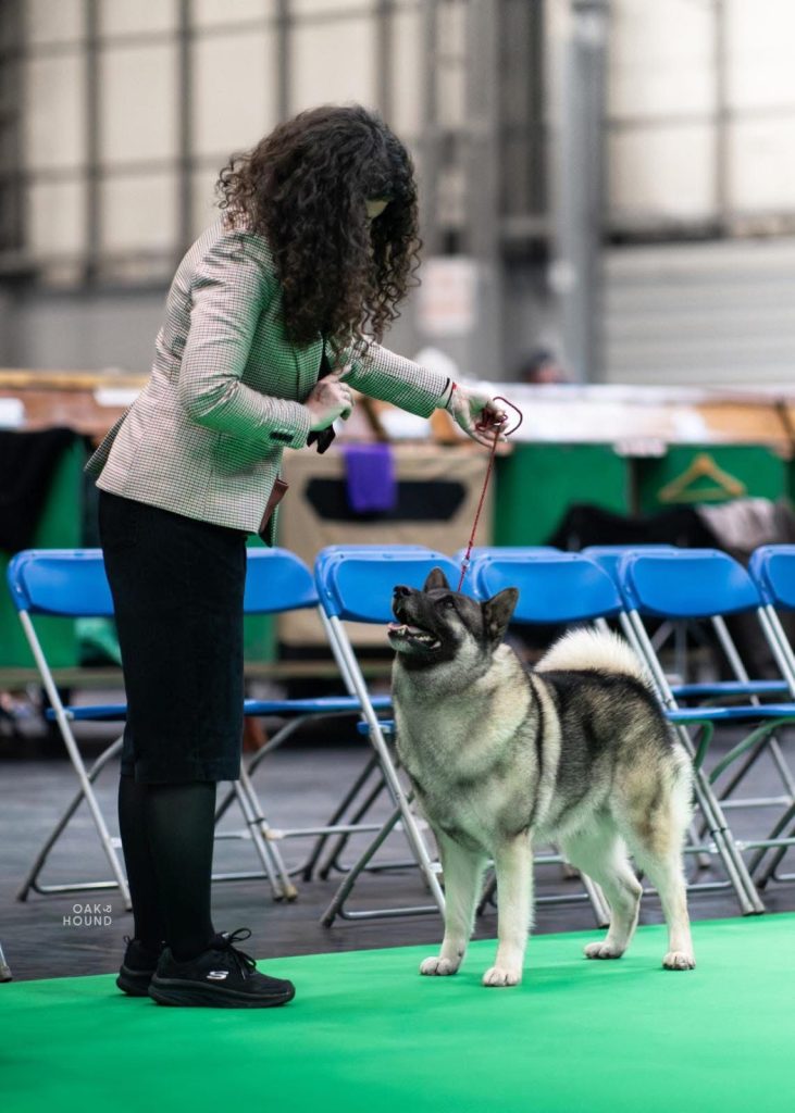 WhatsApp Image 2025-11-28 at 13.01.35 (3)