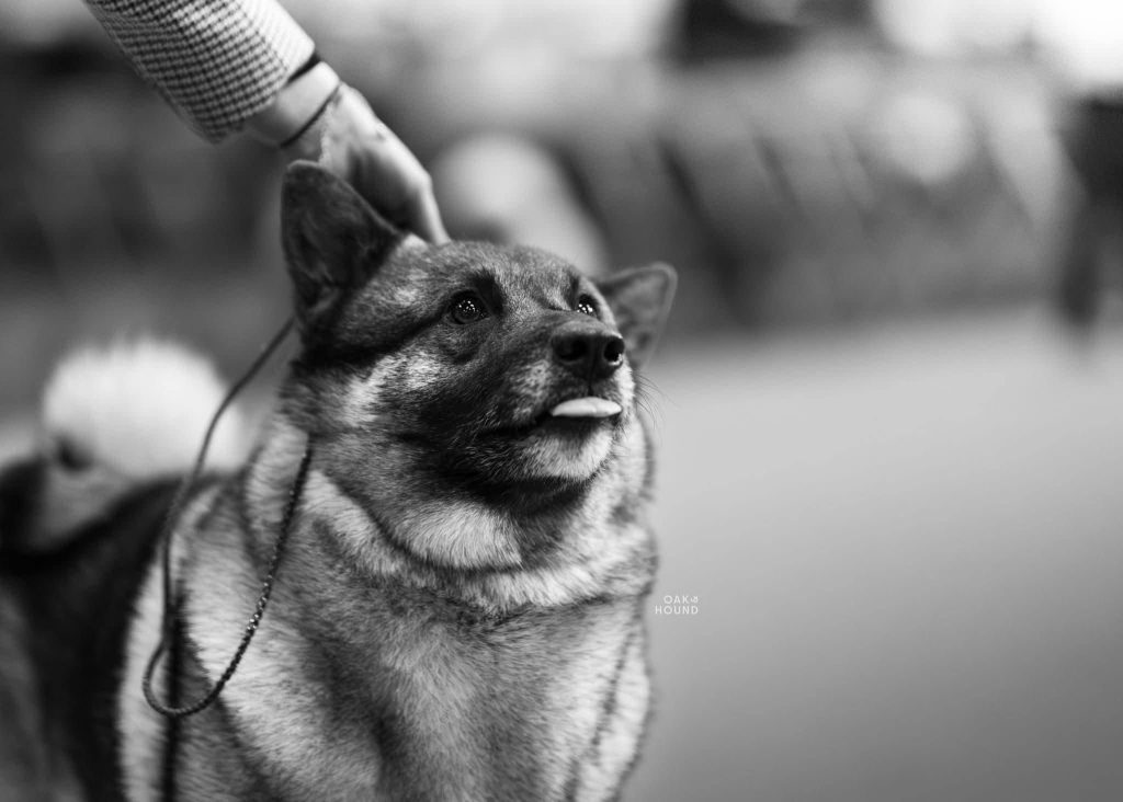 WhatsApp Image 2025-11-28 at 13.01.35 (4)