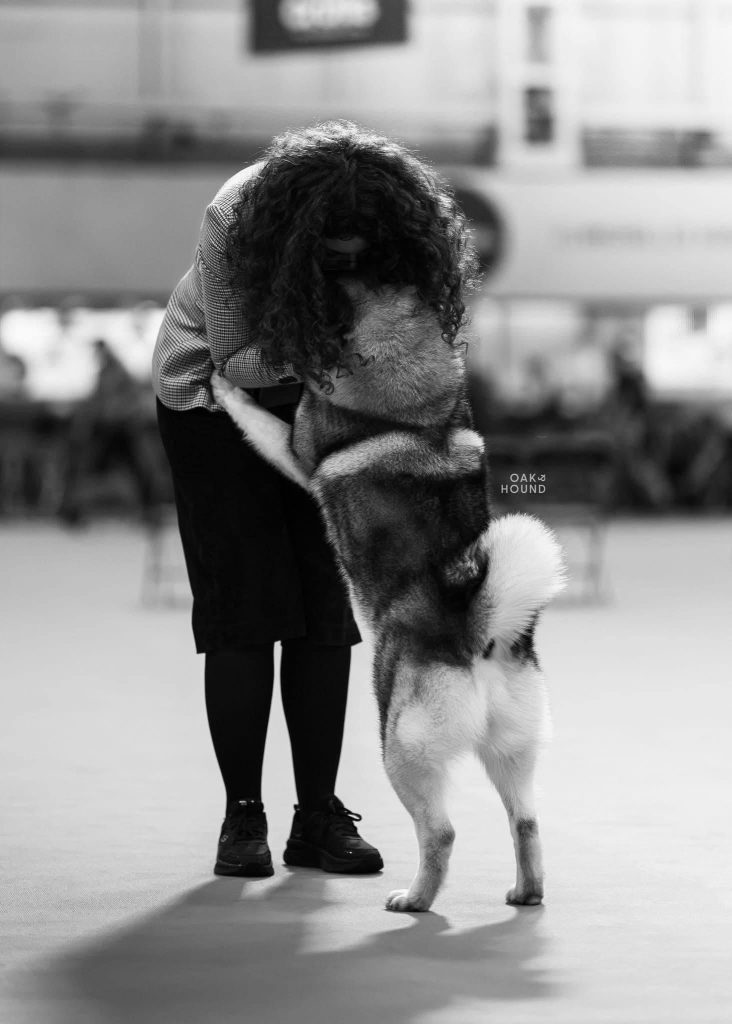 WhatsApp Image 2025-11-28 at 13.01.35 (5)